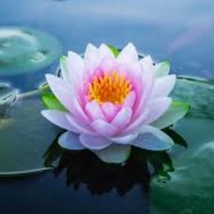 Meet your Posher, Quintina